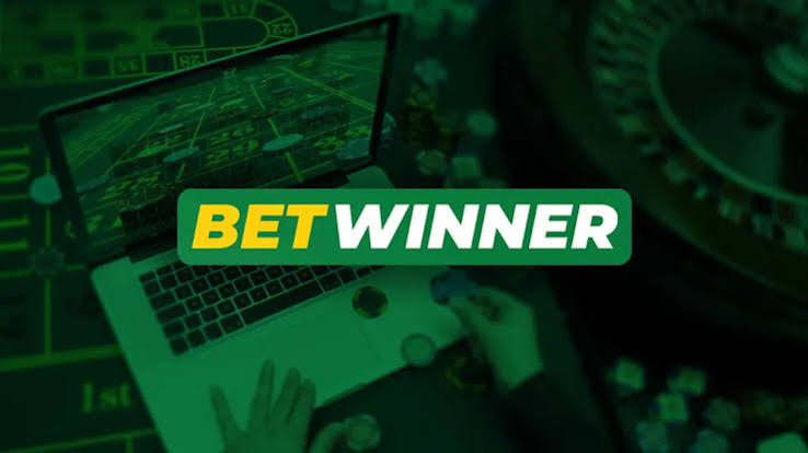 Discover BetWinner Online Bookmaker Your Gateway to Betting