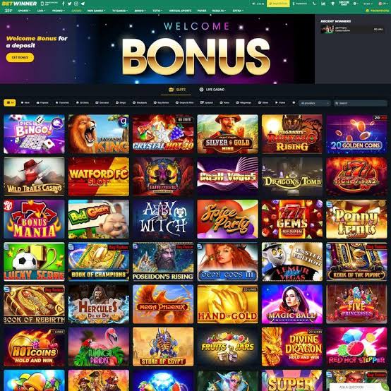Discover BetWinner Online Bookmaker Your Gateway to Betting